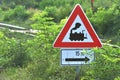Railway safety sign in nature