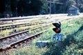 Railroad semaphore with diagonal railway background