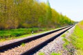 Railroad between summer fields Industrial landscape with railroad, blue sky with clouds. Railway junction in the evening. Railway