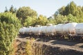 Railroad tank cars rolling through trees