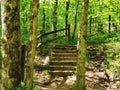 Railroad tie stairs in woods forest Royalty Free Stock Photo