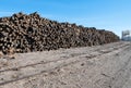 Railroad ties Royalty Free Stock Photo