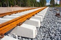 Railroad ties and tracks Royalty Free Stock Photo