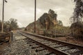 Railroad track curving around remnants of a freight overpass with kudzu in the south