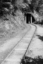 A railroad track going into a small wooden tunnel