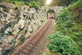 Railroad track in the middle of the forest Royalty Free Stock Photo