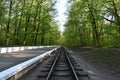 Railroad track, railway and pyron in the spring forest Royalty Free Stock Photo