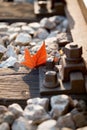 Railroad track with red leaf Royalty Free Stock Photo