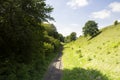 Railroad track in a valley Royalty Free Stock Photo