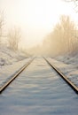 Railroad tracks Royalty Free Stock Photo