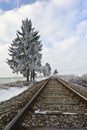 Railroad tracks Royalty Free Stock Photo