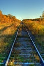 Railroad Tracks Royalty Free Stock Photo