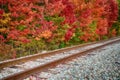 Railroad tracks along autumn trees Royalty Free Stock Photo