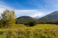 Railroad tracks along green trees, mountain and blue sky in Punt