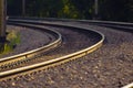 Railroad tracks lit by golden sunset light Royalty Free Stock Photo