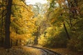 Fall landscape with railway tracks running through autumn forest Royalty Free Stock Photo