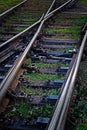 Railroad tracks in black background with grass Royalty Free Stock Photo