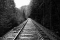 Railroad tracks in black and white