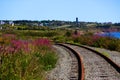 Railroad tracks in the country Royalty Free Stock Photo