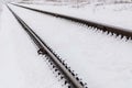 Railroad tracks covered by snow in a field Royalty Free Stock Photo