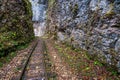 Railroad tracks cut through autumn woods Royalty Free Stock Photo