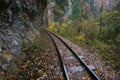 Railroad tracks cut through autumn woods Royalty Free Stock Photo