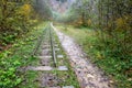 Railroad tracks cut through autumn woods Royalty Free Stock Photo