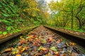 Railroad tracks cut through autumn woods Royalty Free Stock Photo