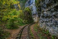 Railroad Tracks Cut Through Autumn Woods