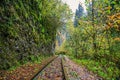 Railroad tracks cut through autumn woods Royalty Free Stock Photo
