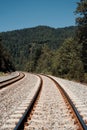 Railroad Tracks Disappear into the Horizon