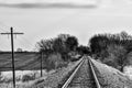 Railroad Tracks in Walworth County, Wisconsin. Royalty Free Stock Photo