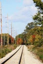 Railroad Tracks and Fall Trees Royalty Free Stock Photo