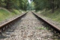 Railroad Tracks in the Forest Royalty Free Stock Photo