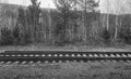 Railroad tracks in the forest. Black and white photo of railroad tracks Royalty Free Stock Photo