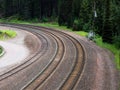 Railroad tracks in the forest Royalty Free Stock Photo