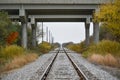 Railroad Tracks Going Under Bridge in Fall Royalty Free Stock Photo