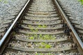 The railroad tracks are gravelled with several green plants growing between the stones Royalty Free Stock Photo