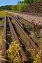 Railroad tracks and huge pile of ties Royalty Free Stock Photo