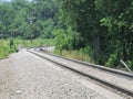 Railroad tracks Royalty Free Stock Photo