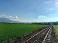 Railroad tracks in the middle of paddy fields.