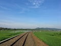 Railroad tracks in the middle of paddy fields.