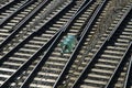 View over crossing railway tracks Royalty Free Stock Photo