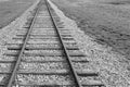 Railroad tracks off center with desert grasses