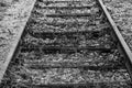 Railroad tracks Royalty Free Stock Photo