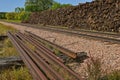 Railroad tracks and huge pile of ties Royalty Free Stock Photo