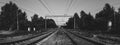 Railroad tracks perspective view black and white Royalty Free Stock Photo