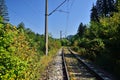 Railroad tracks. Royalty Free Stock Photo