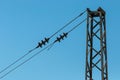 Railroad tracks with railway electrification system. Overhead line wire over rail track. Power lines. Vintage image Royalty Free Stock Photo