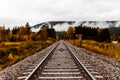 Railroad tracks or railway leads straight into nowhere - low angle shot - autumn forest and fog in the background Royalty Free Stock Photo